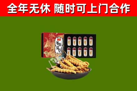 丹徒回收冬虫夏草价格